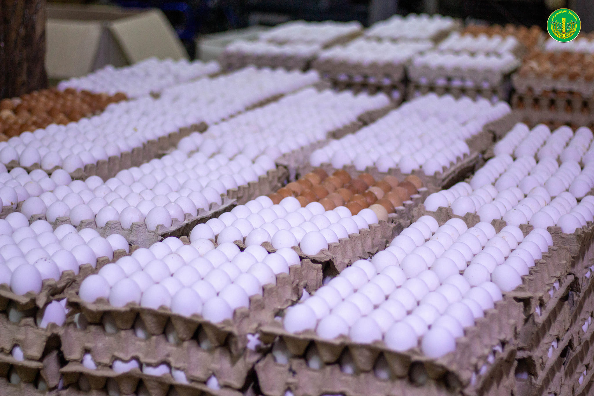 💚✨. الانتهاء من توزيع المساعدات المالية والعينية لشهر 12 للمدرجين والأيتام في الجمعية